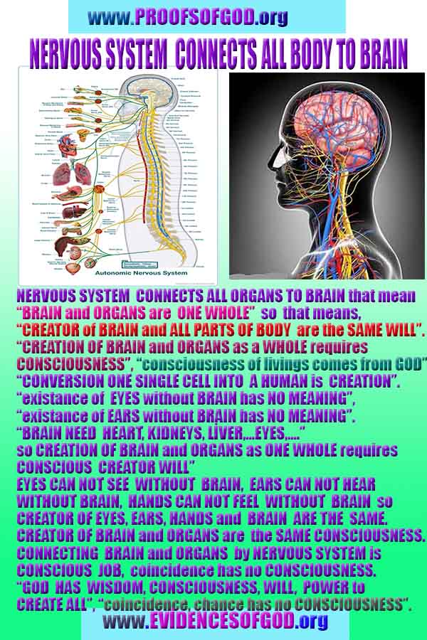 proofs of god, evidences of god, signs of god