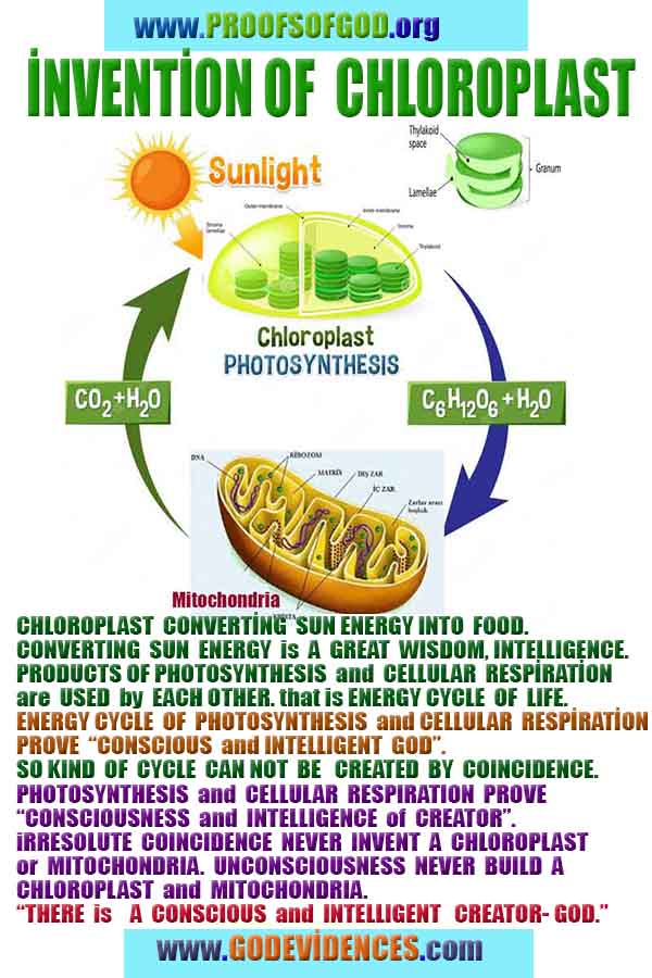 proofs of god, evidences of god, god-proofs, god-signs, god-evidences, god exists, god-real, god is real,براهين الله، أدلة الله، علامات الله، براهين الله، أدلة الله، الله حقيقي، الله موجود 