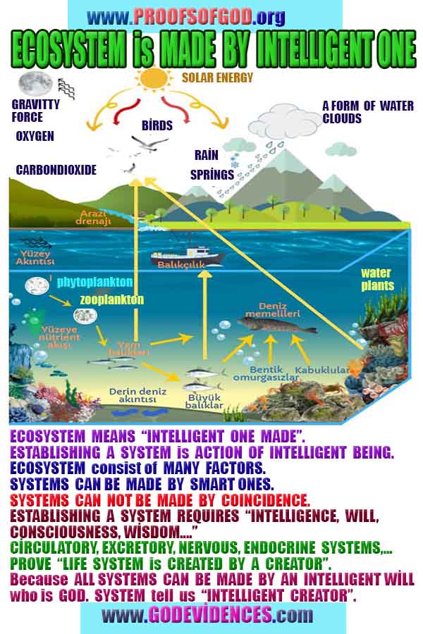 proofs of god, evidences of god,  