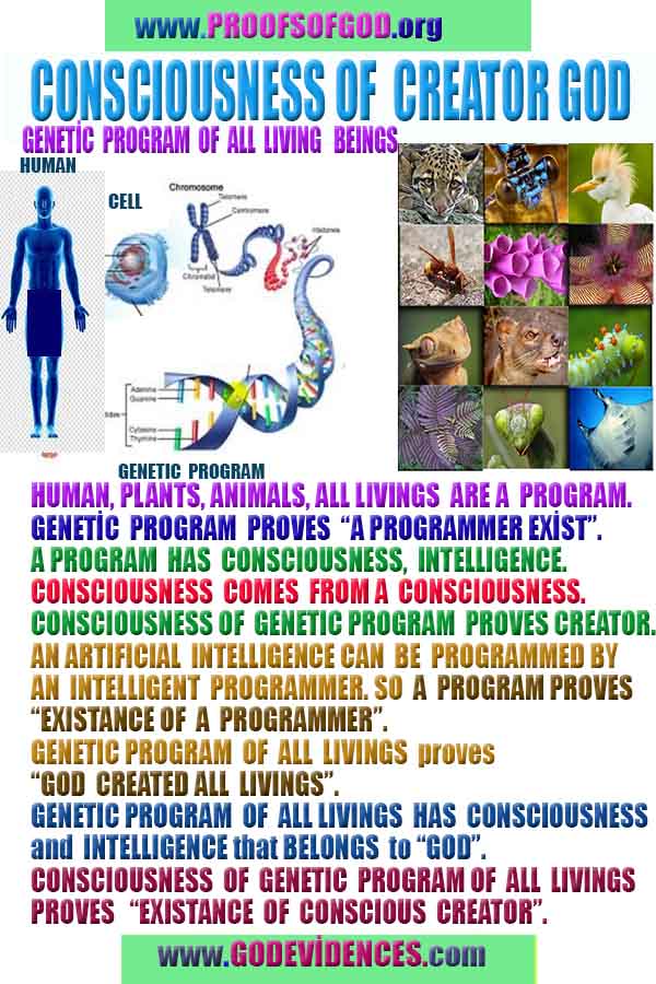 proofs of god, evidences of god, signs of god