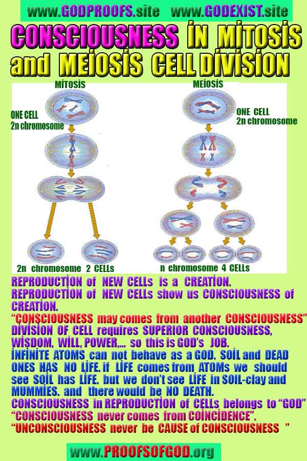 proofs of god, evidences of god,  