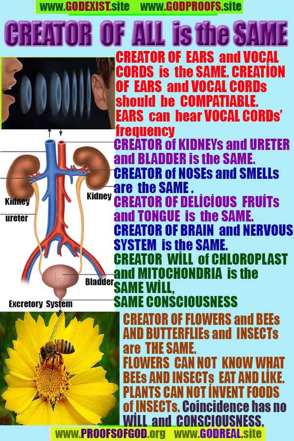 proofs of god, evidences of god 