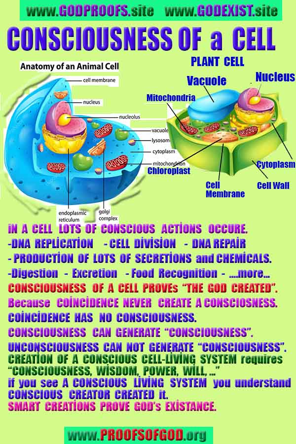 proofs of god, evidences of god, god-proofs, god-signs, god-evidences, god exists, god-real, god is real, pruebas de dios, evidencias de dios, signos de dios, pruebas-dios, evidencias-dios, dios es real, dios existe 