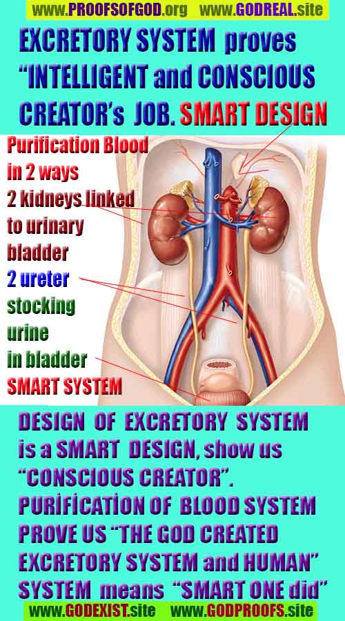 proofs of god, evidences of god 