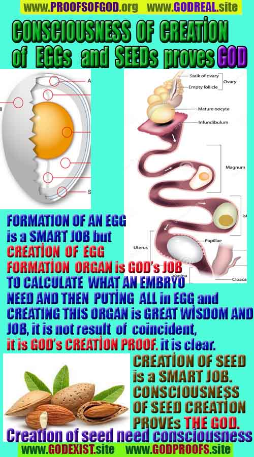 proofs of god, evidences of god,  