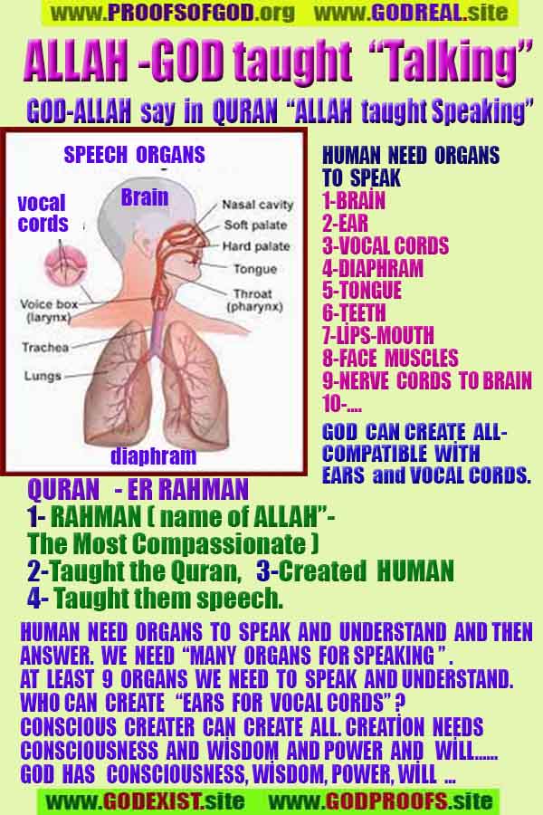 proofs of god, evidences of god,  